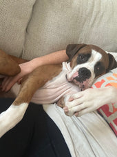 Fiona