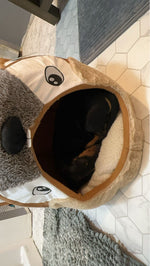 Björn 
