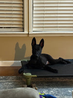 Ares