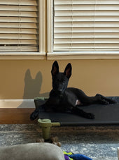 Ares