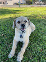 Hubbell 