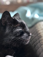 Walter