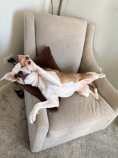 Bella