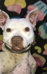 Ethel