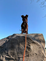 Koba