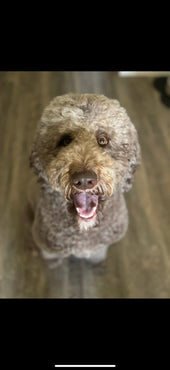 Oakley