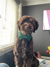 Sitka
