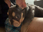 Coco