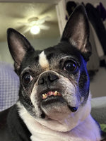 Charleighbella 
