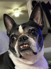 Charleighbella 