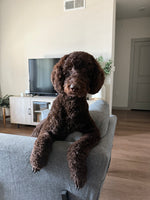 Milo