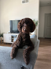 Milo