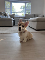 rubi 