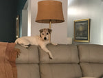 Addie