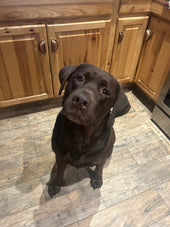 Maggie
