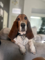 Lola