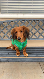 Duke
