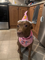 Roxy