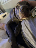 Zeus