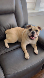 Ellie