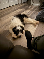 Lola 