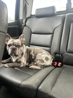Frank