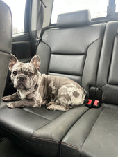 Frank