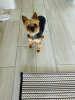 Lola