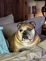 HANK