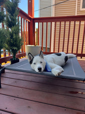 Max
