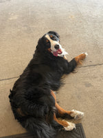 Benny