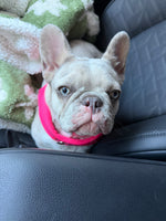 Maggie 