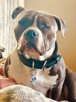 Hondo