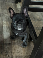Onyx