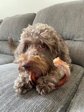 Marley