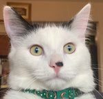 Loki