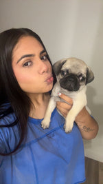 Chico
