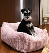 Ruby Sue 