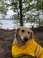Kenai