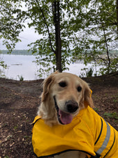 Kenai