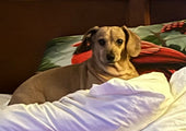 Izzy Beth