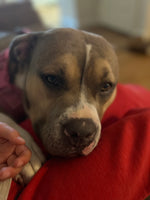 Athena