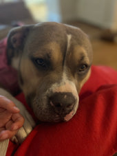 Athena