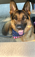 Rambo