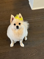 Abbi