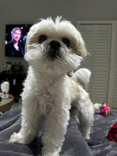 Charlie