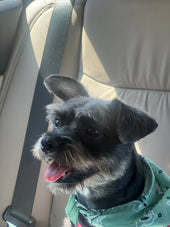 Nori