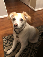 Sadie