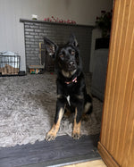 Echo