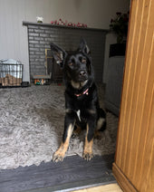 Echo